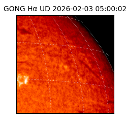 gong - 2026-02-03T05:00:02