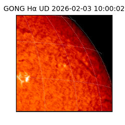 gong - 2026-02-03T10:00:02