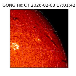 gong - 2026-02-03T17:01:42