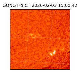 gong - 2026-02-03T15:00:42