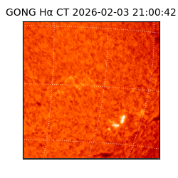 gong - 2026-02-03T21:00:42