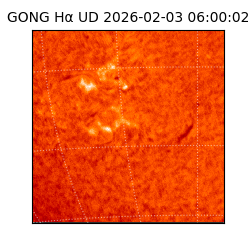 gong - 2026-02-03T06:00:02