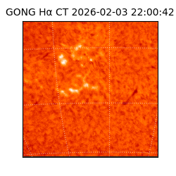 gong - 2026-02-03T22:00:42
