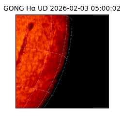 gong - 2026-02-03T05:00:02