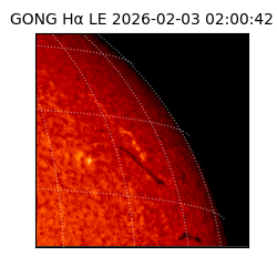 gong - 2026-02-03T02:00:42