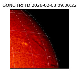 gong - 2026-02-03T09:00:22