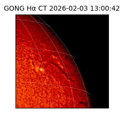 gong - 2026-02-03T13:00:42