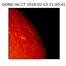 gong - 2026-02-03T21:00:42