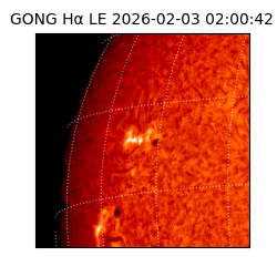 gong - 2026-02-03T02:00:42