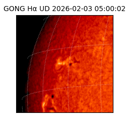 gong - 2026-02-03T05:00:02
