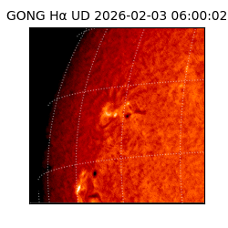 gong - 2026-02-03T06:00:02