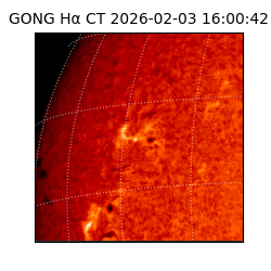 gong - 2026-02-03T16:00:42