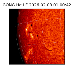 gong - 2026-02-03T01:00:42