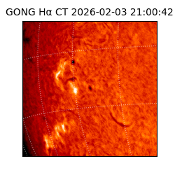 gong - 2026-02-03T21:00:42