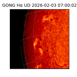 gong - 2026-02-03T07:00:02