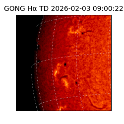 gong - 2026-02-03T09:00:22