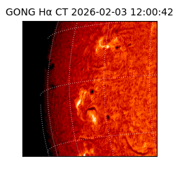 gong - 2026-02-03T12:00:42