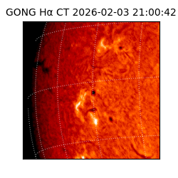 gong - 2026-02-03T21:00:42