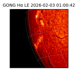 gong - 2026-02-03T01:00:42