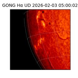 gong - 2026-02-03T05:00:02