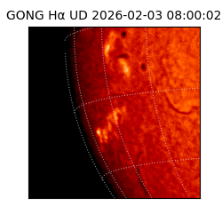 gong - 2026-02-03T08:00:02