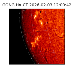 gong - 2026-02-03T12:00:42