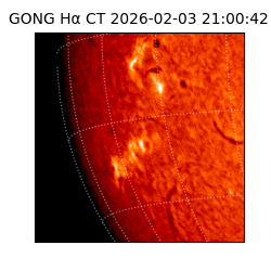gong - 2026-02-03T21:00:42