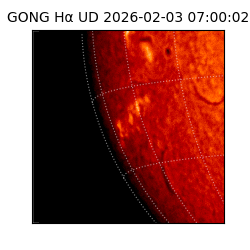 gong - 2026-02-03T07:00:02