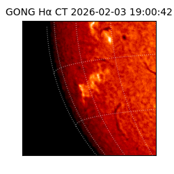 gong - 2026-02-03T19:00:42