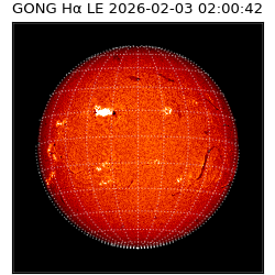 gong - 2026-02-03T02:00:42