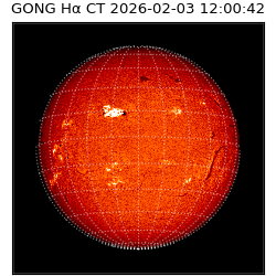 gong - 2026-02-03T12:00:42