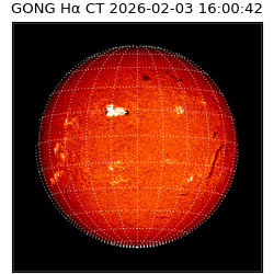 gong - 2026-02-03T16:00:42