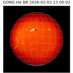 gong - 2026-02-03T23:00:02