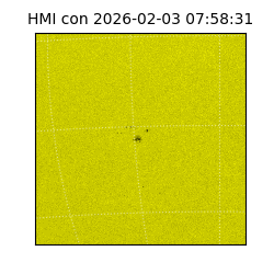shmi - 2026-02-03T07:58:31