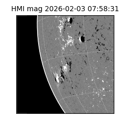 shmi - 2026-02-03T07:58:31