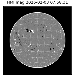 shmi - 2026-02-03T07:58:31