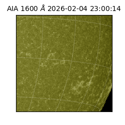 saia - 2026-02-04T23:00:14.134000