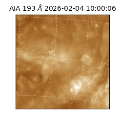 saia - 2026-02-04T10:00:06.228000