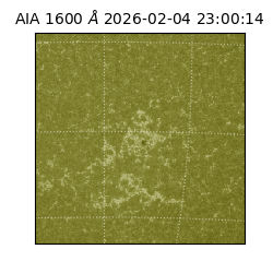 saia - 2026-02-04T23:00:14.134000