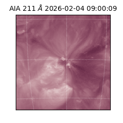 saia - 2026-02-04T09:00:09.630000