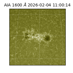 saia - 2026-02-04T11:00:14.133000