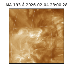 saia - 2026-02-04T23:00:28.843000