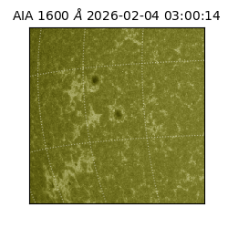 saia - 2026-02-04T03:00:14.134000
