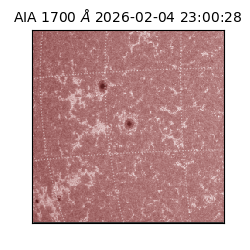saia - 2026-02-04T23:00:28.737000