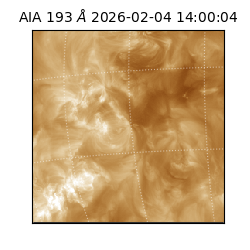 saia - 2026-02-04T14:00:04.843000