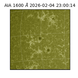 saia - 2026-02-04T23:00:14.134000