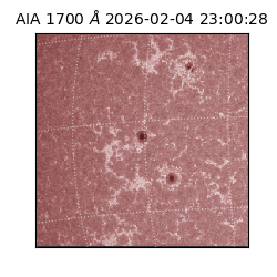 saia - 2026-02-04T23:00:28.737000