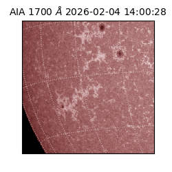 saia - 2026-02-04T14:00:28.710000