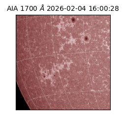 saia - 2026-02-04T16:00:28.718000