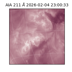 saia - 2026-02-04T23:00:33.626000